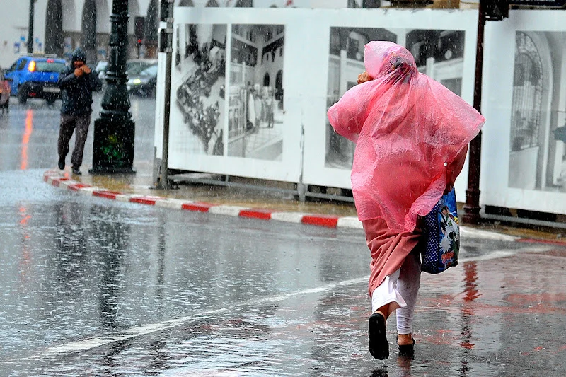 نشرة إنذارية..زخات رعدية وهبات رياح قوية مرتقبة يومي الثلاثاء والأربعاء