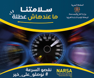 narsa 3