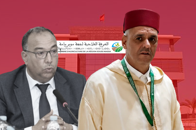 السعيد الماسي يفرض نفسه بقوة.. هل يكون الرئيس القادم للغرفة الفلاحية؟