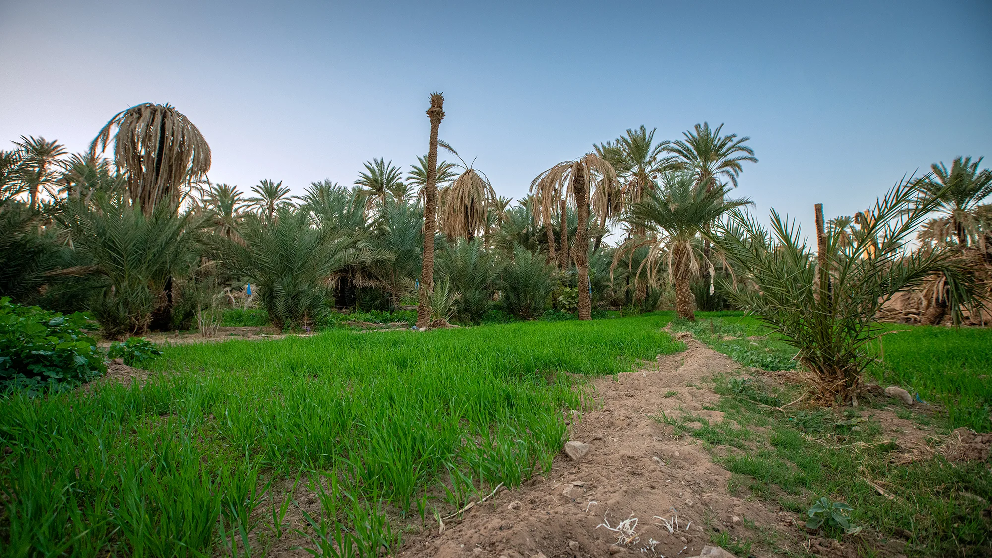 بين العواصف وشبح الجفاف.. قروق يحذّر من تقلبات جوية حادة بالمغرب