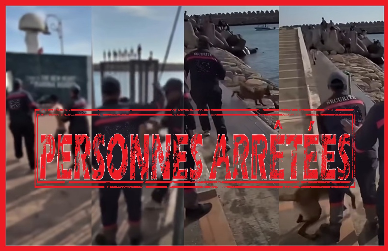 أكادير.. إحالة شخصين على النيابة العامة للاشتباه في تعنيف قاصر وتحريض كلب شرس على أطفال